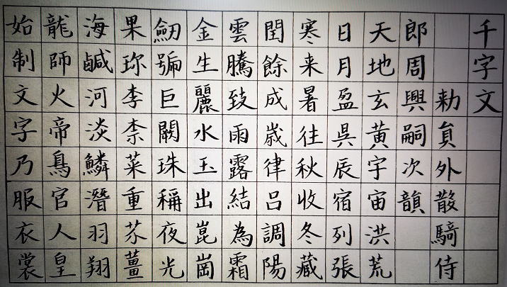 作品展示
